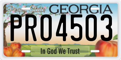 GA license plate PRO4503