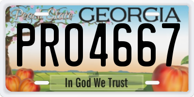 GA license plate PRO4667