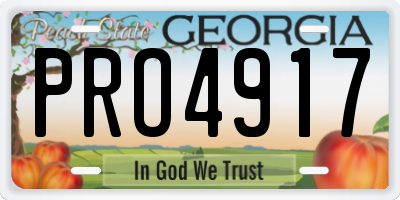 GA license plate PRO4917