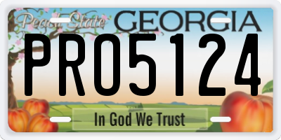 GA license plate PRO5124