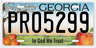 GA license plate PRO5299