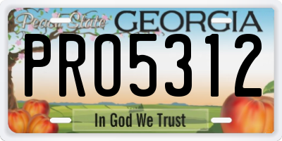 GA license plate PRO5312