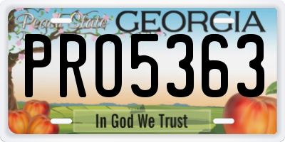 GA license plate PRO5363