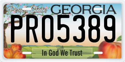 GA license plate PRO5389