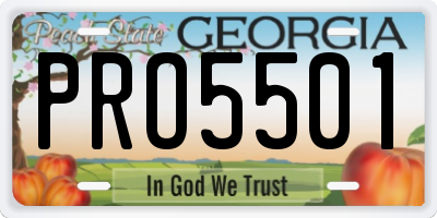 GA license plate PRO5501