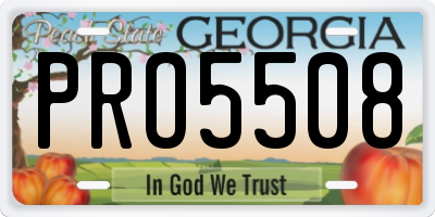 GA license plate PRO5508