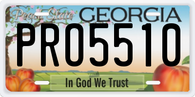 GA license plate PRO5510