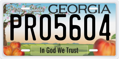 GA license plate PRO5604