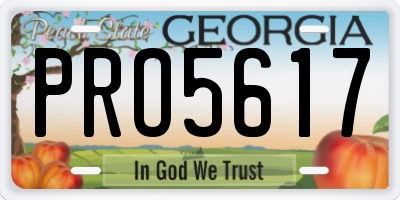 GA license plate PRO5617