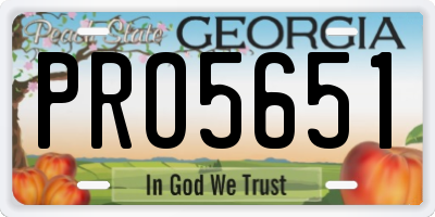 GA license plate PRO5651