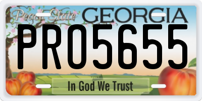 GA license plate PRO5655