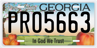 GA license plate PRO5663