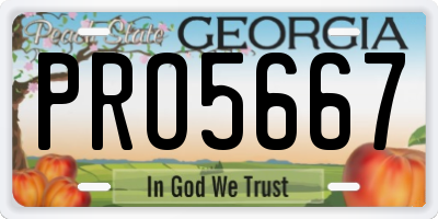 GA license plate PRO5667