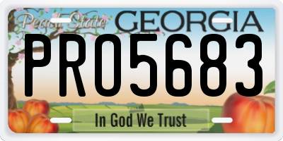 GA license plate PRO5683