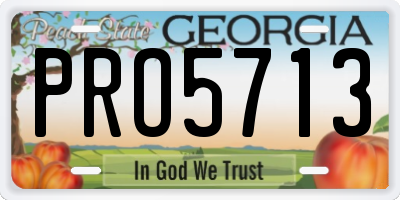 GA license plate PRO5713