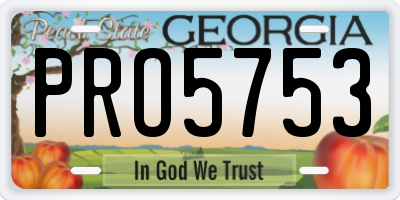 GA license plate PRO5753