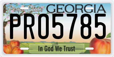 GA license plate PRO5785