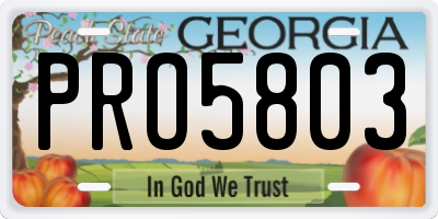 GA license plate PRO5803