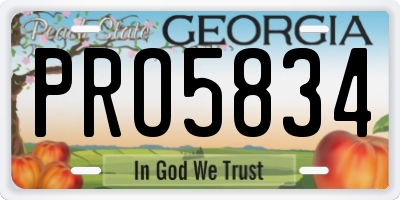 GA license plate PRO5834