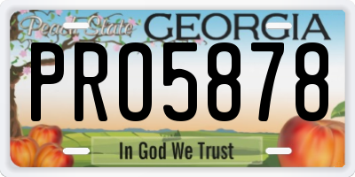 GA license plate PRO5878