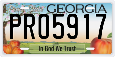 GA license plate PRO5917
