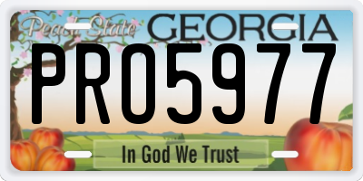 GA license plate PRO5977