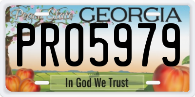 GA license plate PRO5979