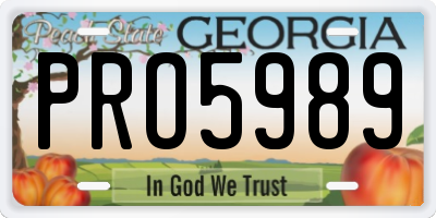 GA license plate PRO5989