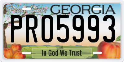 GA license plate PRO5993