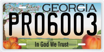 GA license plate PRO6003