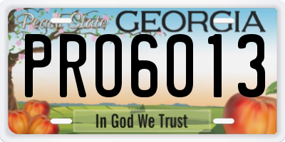 GA license plate PRO6013