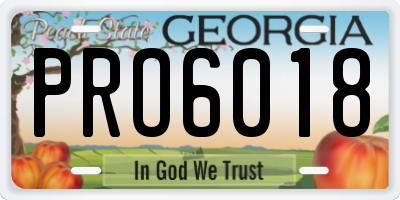 GA license plate PRO6018