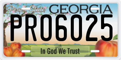 GA license plate PRO6025