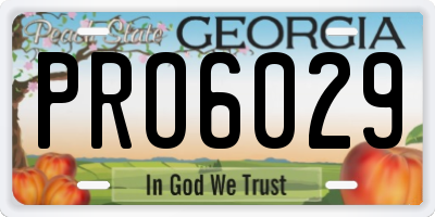 GA license plate PRO6029