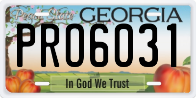 GA license plate PRO6031