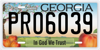 GA license plate PRO6039