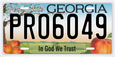 GA license plate PRO6049