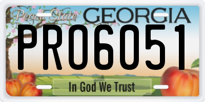 GA license plate PRO6051