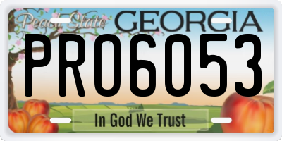 GA license plate PRO6053