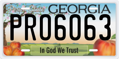 GA license plate PRO6063
