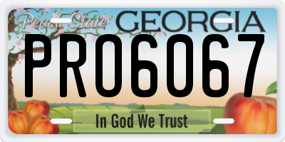 GA license plate PRO6067