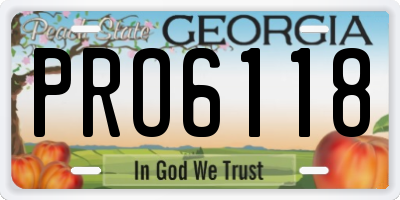 GA license plate PRO6118