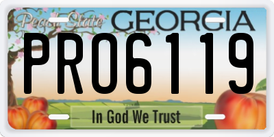 GA license plate PRO6119