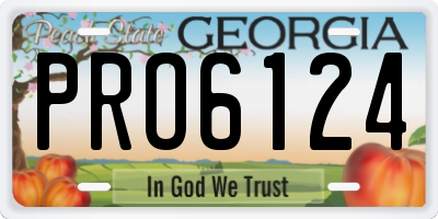 GA license plate PRO6124