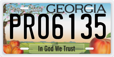 GA license plate PRO6135