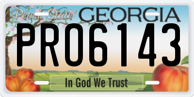 GA license plate PRO6143