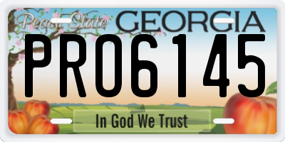 GA license plate PRO6145