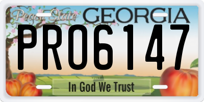 GA license plate PRO6147