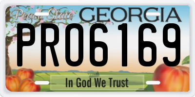 GA license plate PRO6169
