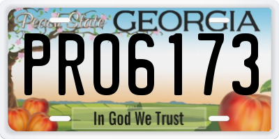 GA license plate PRO6173